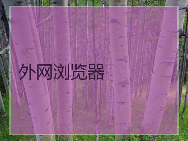 外网浏览器